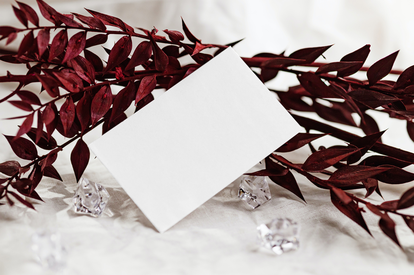 Free Business Card with Leaf Mockup