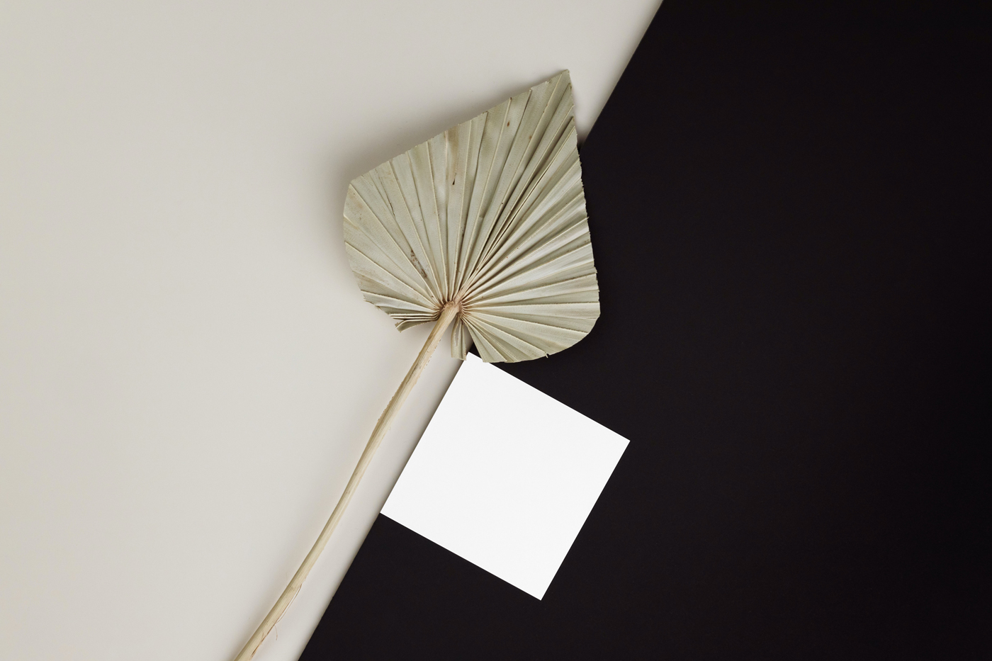 Free Square Card with Leaf Mockup