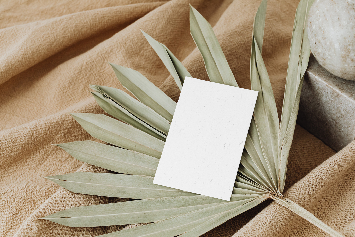 Free Eco Card on Leaf Mockup