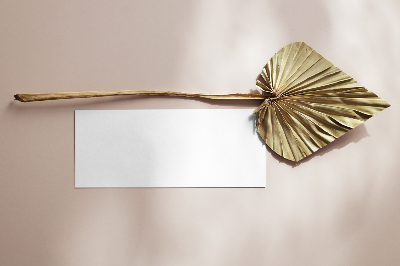 Free Oblong Card with Leaf Mockup