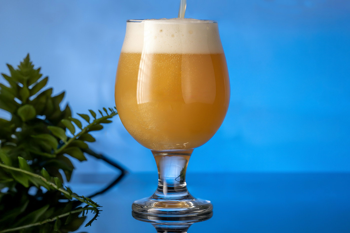 Free Glass Pint of Beer Mockup