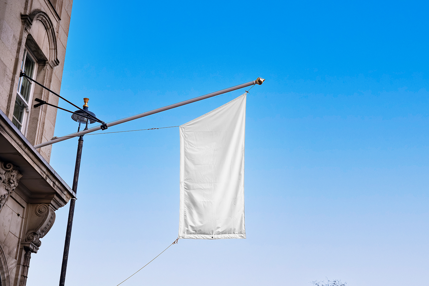Free Flag on Pole Mockup